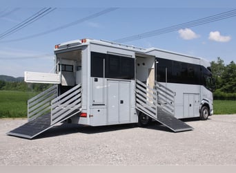 Transportista de caballos DAF XF410 Camioneta para caballos y autocaravana