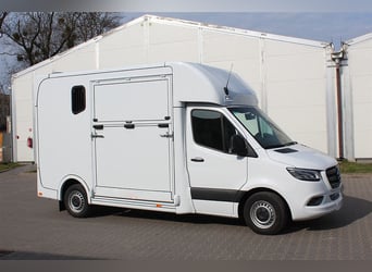 Transportista de caballos Dickenherr2-Ride Mercedes automático, vehículo nuevo, transporte de ganado