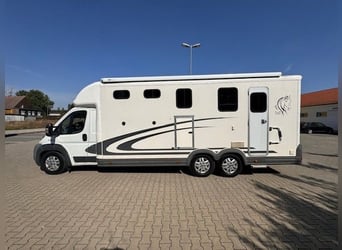 Fiat Equi Trek Pferdetransporter Wohnmobil gebraucht