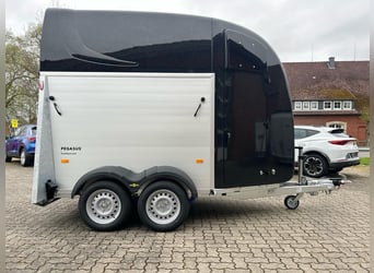 Humbaur Pferdeanhänger Pegasus 2400 2,4t Sattelkammer 100km/h Black Hecktür schwenkbar