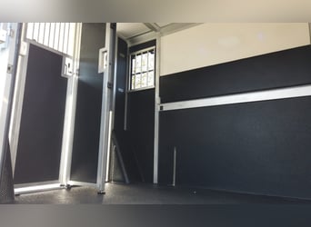 ¡Estirpe STX 2, semental de caballos! ¡Varias versiones disponibles!