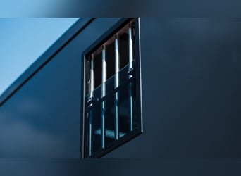 ¡Estirpe STX 2, semental de caballos! ¡Varias versiones disponibles!