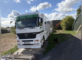 Mercedes Actros transportín de caballos para 6 caballos con alojamiento