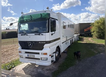 Mercedes Actros transportín de caballos para 6 caballos con alojamiento