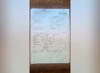 Remolques para caballos