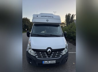 Transportador de caballos Paragan sobre Renault Master 3 XL