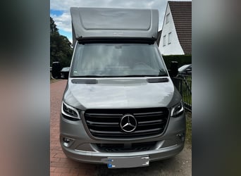Transportín para caballos Mercedes Benz