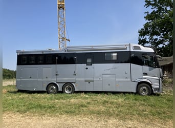 Transportista de caballos