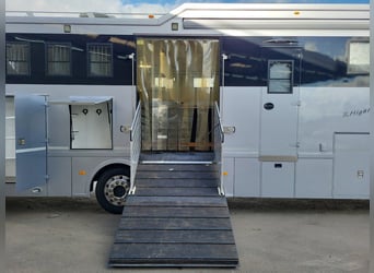 Mercedes-Benz Actros 2551 Horse Truck + Living (2017) —  5–6 horses — 23.236 km — Euro 6 Mercedes-Benz Actros 2551 Horse Truck + Living (2017) —  5–6 horses — 23.236 km — Euro 6