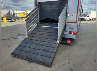 Mercedes-Benz Actros 2551 Horse Truck + Living (2017) —  5–6 horses — 23.236 km — Euro 6 Mercedes-Benz Actros 2551 Horse Truck + Living (2017) —  5–6 horses — 23.236 km — Euro 6