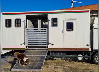 Pferdetransporter LKW MAN TGL8.180