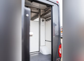 Pferdetransporter LKW Sprinter Renault Master STX 3 Haras