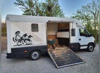 Renault dci120 Pferdetransporter