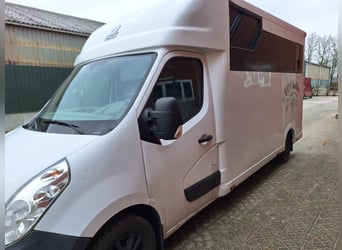 Renault Master Theault paardenwagen hengsten uitvoering
