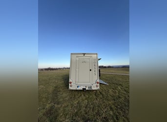 Renault Pferde-Sprinter – 2-Pferde