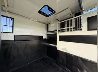 Renault Pferde-Sprinter – 2-Pferde