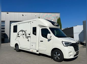 ¡Renault STX disponible de inmediato! ¡Transmisión automática!