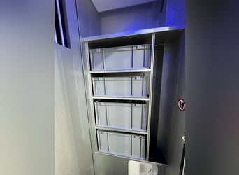 Roelofsen, Renault, Parados Sport, Top Zustand