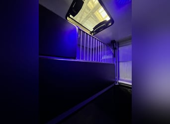 Roelofsen, Renault, Parados Sport, Top Zustand