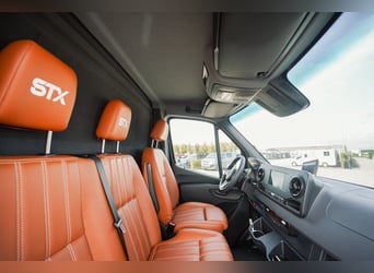 STX 2 Horse – Exclusive Mercedes Sprinter