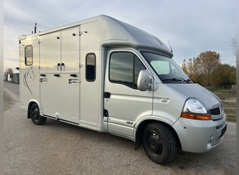 Tolle Pferdetransporteuer Renault MTM