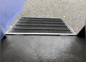 Transportista de caballos Renault Primero