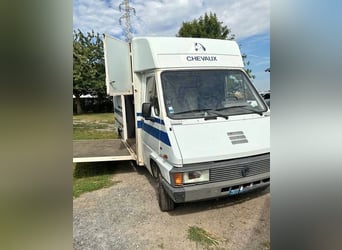 DON de chevaux, année 1990, Renault Master
