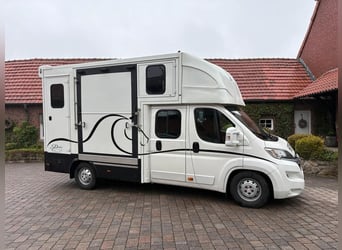 Transportín para caballos – para 2 caballos, 7 plazas