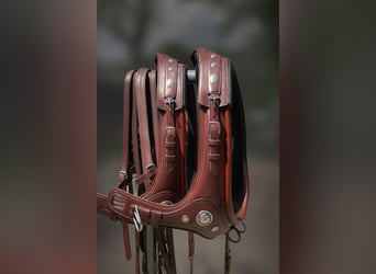 Zweispänner Marathon Geschirr