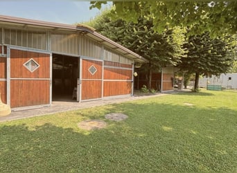 Aprende a montar a caballo al más alto nivel, en el lugar donde otros disfrutan de sus vacaciones.