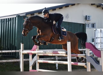 Clases de salto – ¡nuevas fechas disponibles ahora!