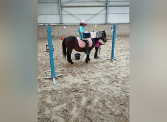 Fiesta de cumpleaños infantil en la granja ecuestre
