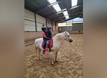Fiesta de cumpleaños infantil en la granja ecuestre