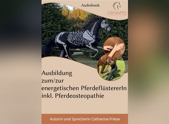 Audiobook Ausbildung zum/zur energetischen PferdeflüstererIn inklusive Pferdeosteopathie