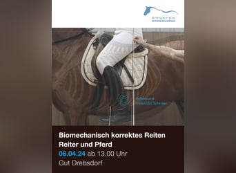 Biomechanisch korrektes Reiten