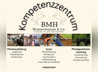 Huf-Kurs, Dual-Kurs