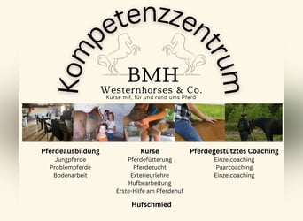 Hufkurs - Hufbearbeitung - 18.05.2024
