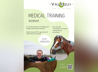 Medical Training Grundlagen (Webinar)