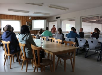 Pferdepfleger FN - Qualifikation mit Prüfung für Quereinsteiger 06. bis 20.11.2026