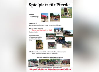 Spielplatz für Pferde