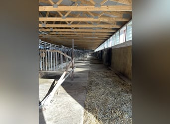 Entrenamiento y formación - confiable, versátil e individualizado