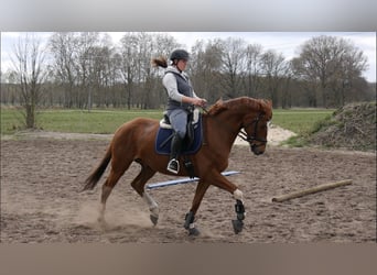 Entrenamiento y formación - confiable, versátil e individualizado