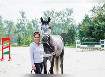 ⚜️ Espacios de entrenamiento disponibles ⚜️