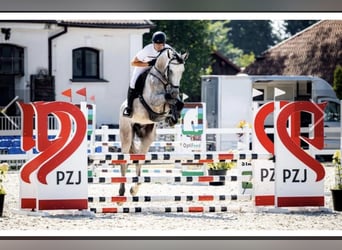 Plazas de entrenamiento disponibles para caballos de salto 🇩🇪 🇵🇱