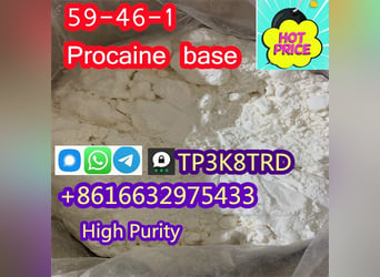 PROCAINE CAS 59-46-1 /51-05-8 Manufacturer Supply