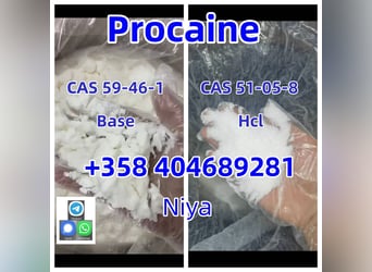 Procaine Hydrochloride Cas 51-05-8 Manufacturer Supply High Quality Cas 51-05-8 Hydrochloride Hcl Di