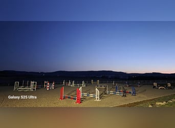 Bereiter/in in privater Reitanlage Festanstellung oder Freelancer