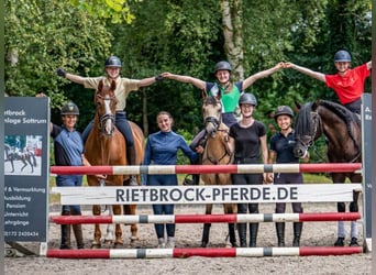 Prácticas y vacaciones con caballo, posibilidad de formación como entrenador de caballos.