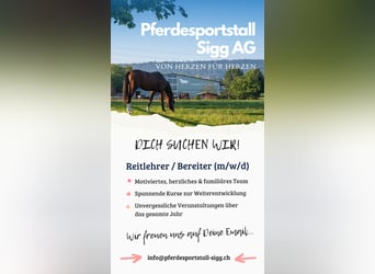 Reitlehrer / Bereiter (m/w/d)