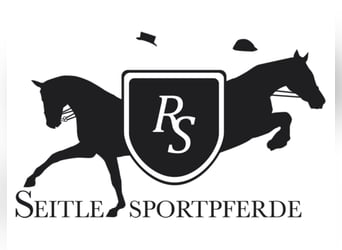 Bereiter m/w/d gesucht